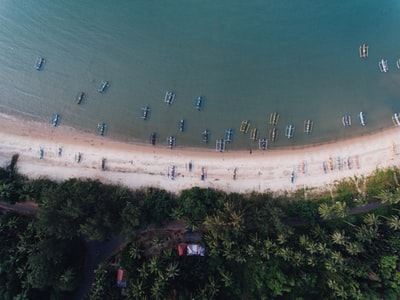 人在海滨白天
